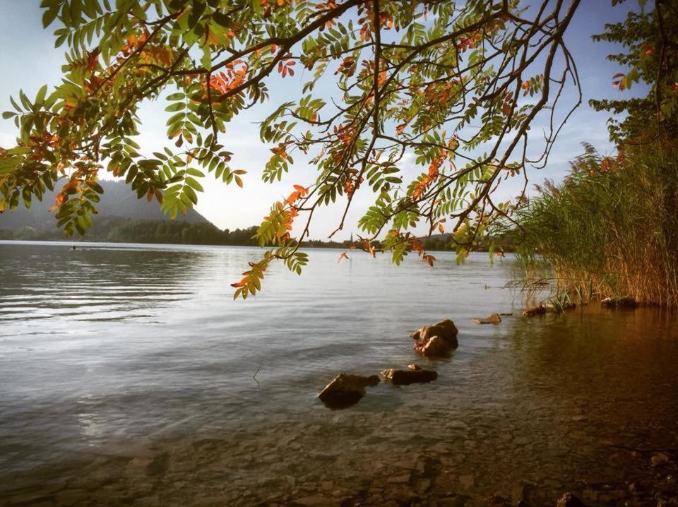 Apartmenthaus Der Johanneshof - Tolle Lage Nah Am See Schliersee Dış mekan fotoğraf